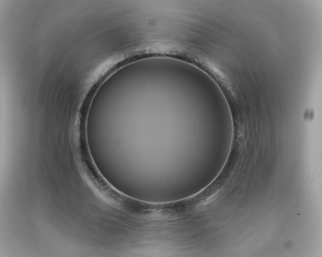 X0000091850678200709051147