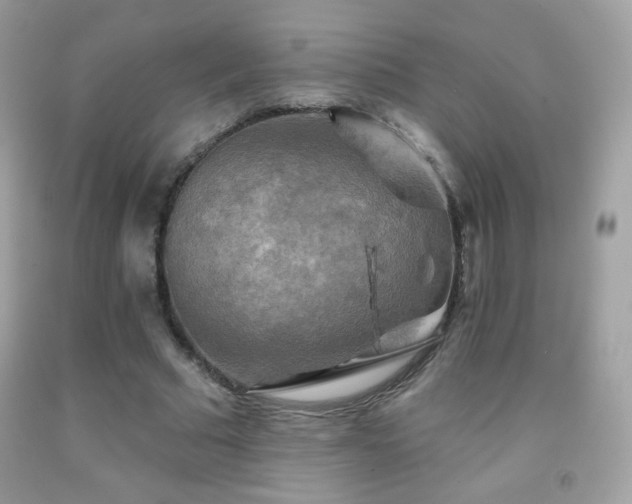 X0000091850681200709051147