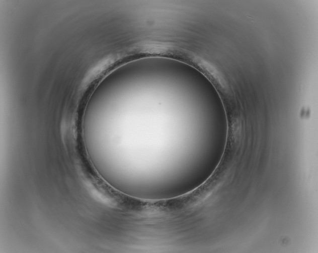 X0000091850682200709051147