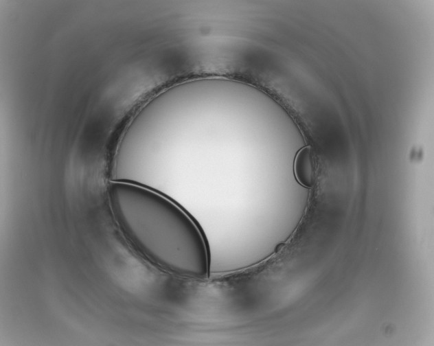 X0000091850683200709051147