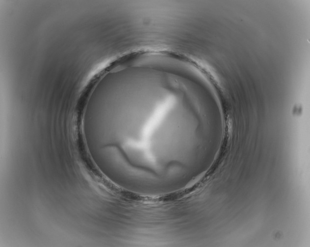 X0000091850684200709051147