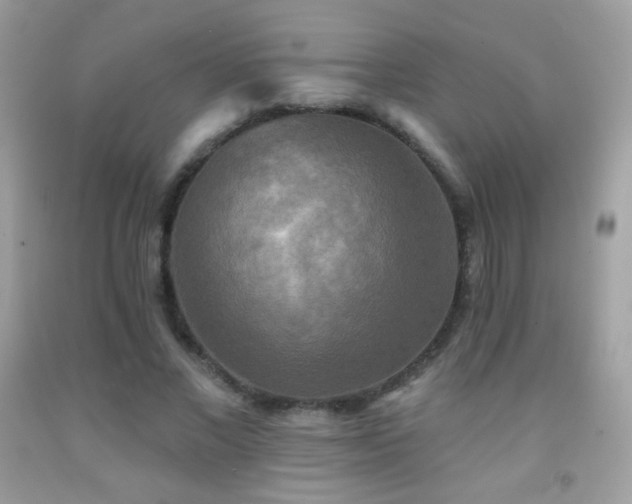 X0000091850685200709051147