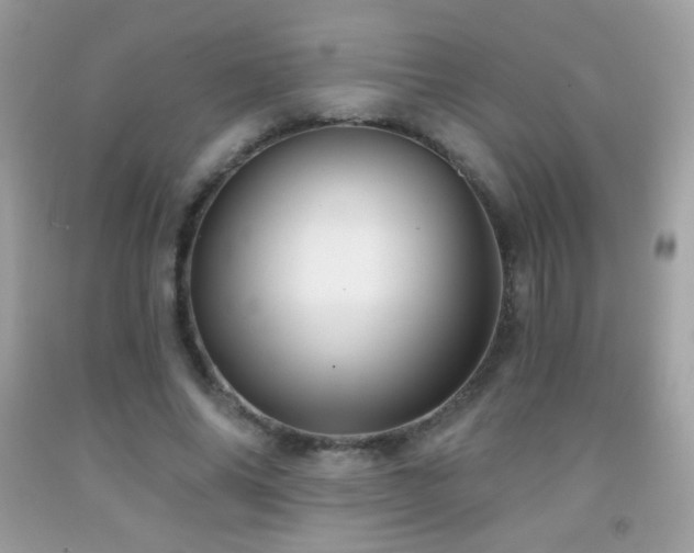 X0000091850686200709051147