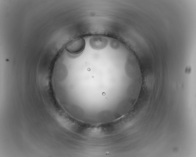X0000091850687200709051147