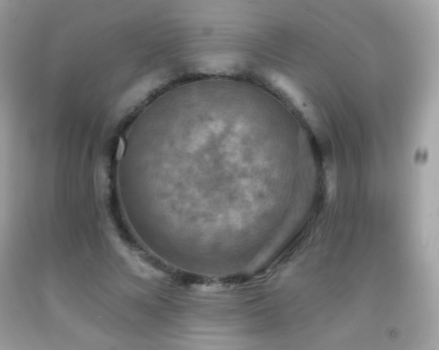 X0000091850688200709051147