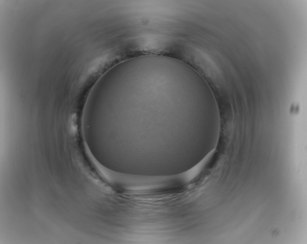 X0000091850689200709051147