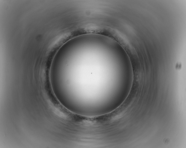 X0000091850690200709051147