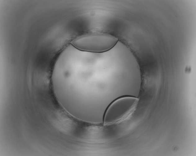 X0000091850691200709051147