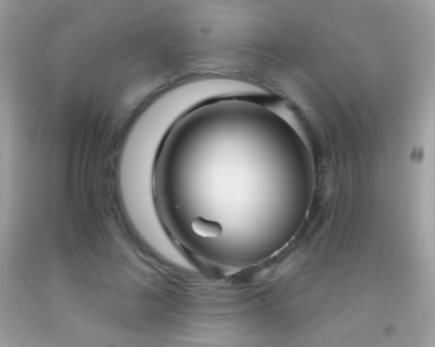 X0000091850692200709051147