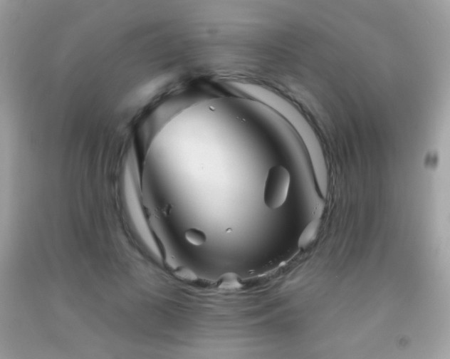 X0000091850693200709051147