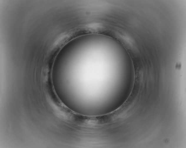 X0000091850694200709051147