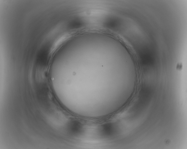 X0000091850695200709051147