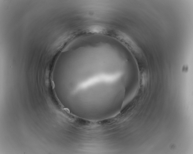 X0000091850696200709051147