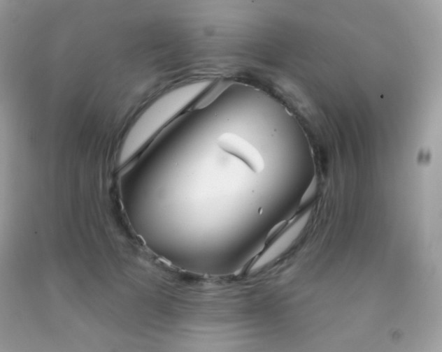 X0000091850697200709051147
