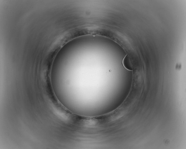 X0000091850698200709051147