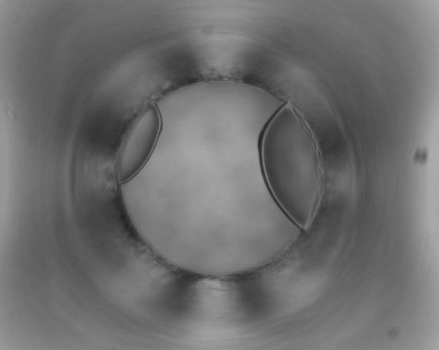 X0000091850699200709051146