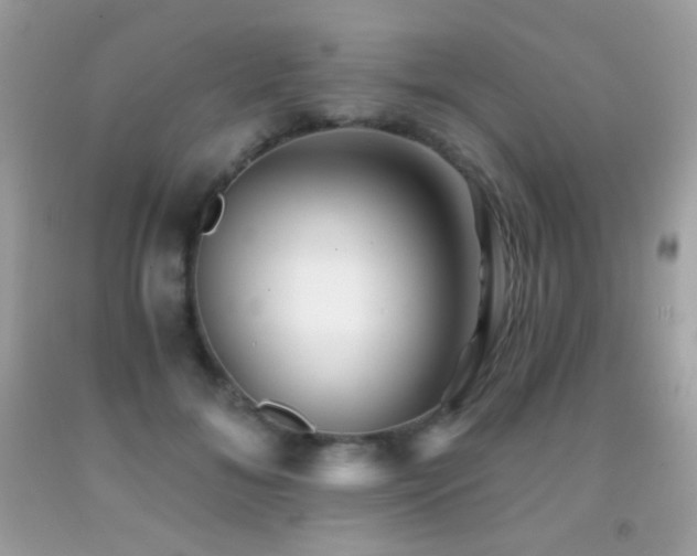 X0000091850700200709051146