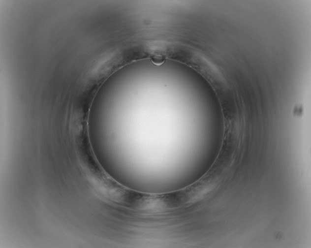 X0000091850702200709051146