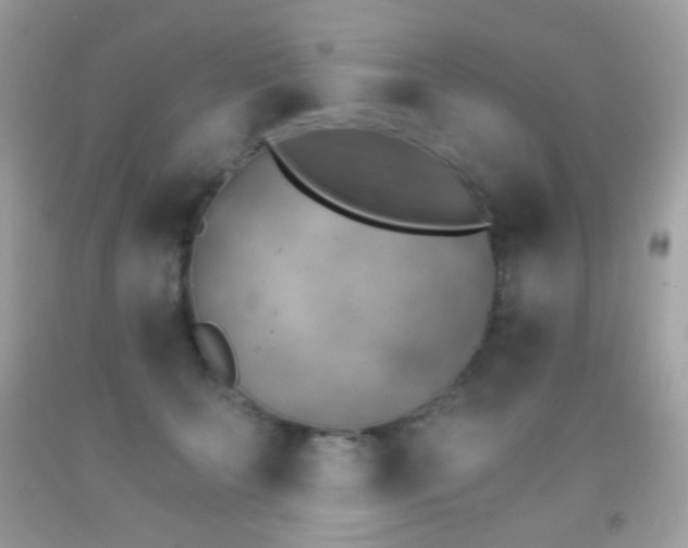 X0000091850703200709051146