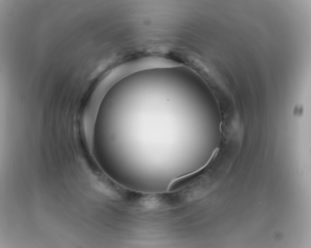 X0000091850704200709051146