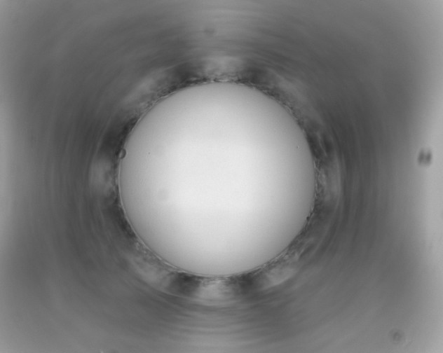 X0000091850705200709051146