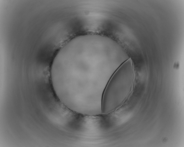 X0000091850707200709051146