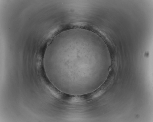 X0000091850708200709051146