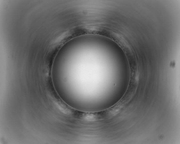X0000091850710200709051146