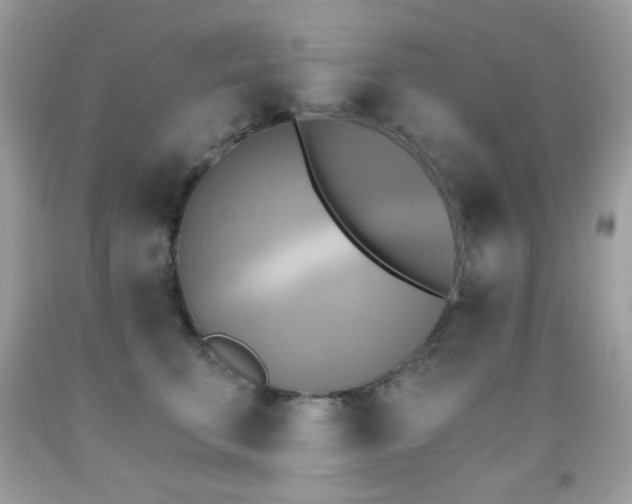 X0000091850711200709051146