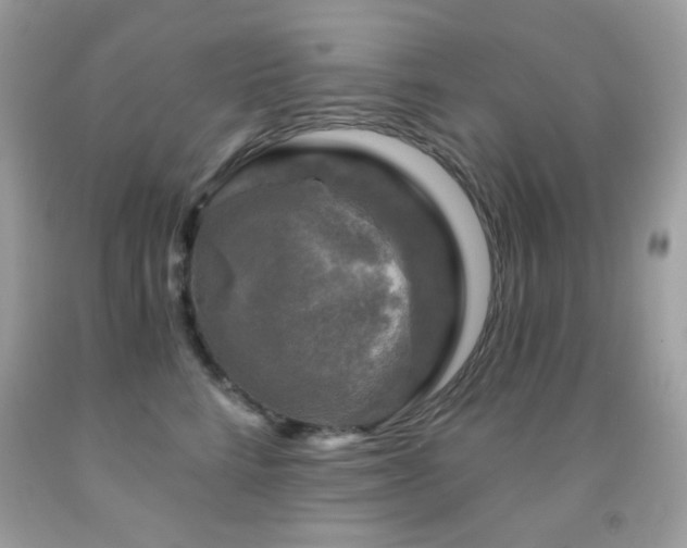 X0000091850712200709051146