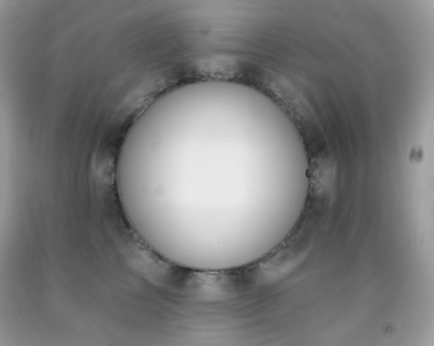 X0000091850713200709051146