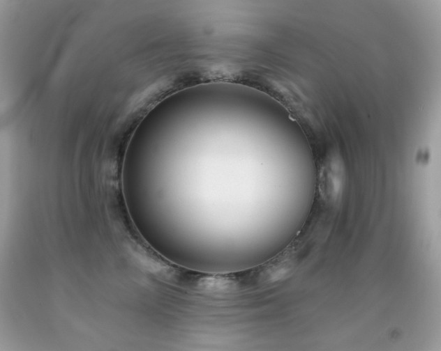 X0000091850714200709051146