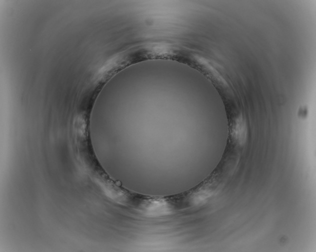 X0000091850715200709051146