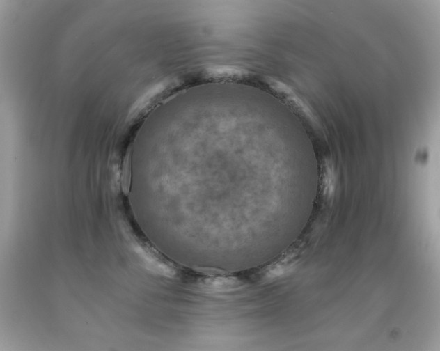X0000091850716200709051146
