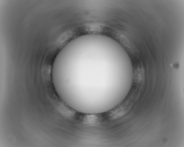 X0000091850717200709051146