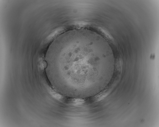 X0000091850719200709051146
