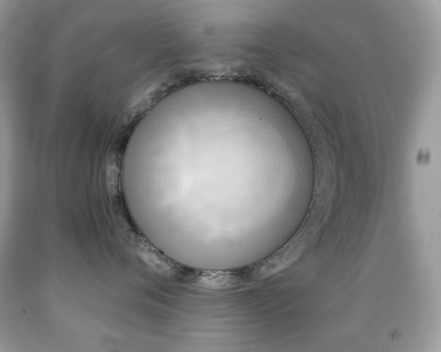 X0000091850720200709051146