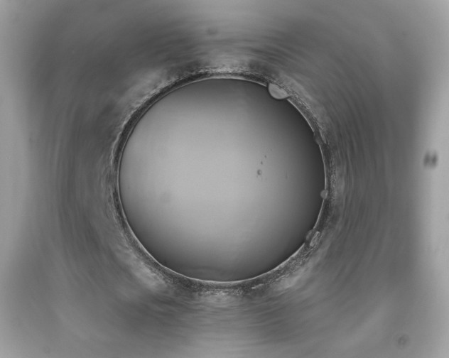 X0000091850721200709051146