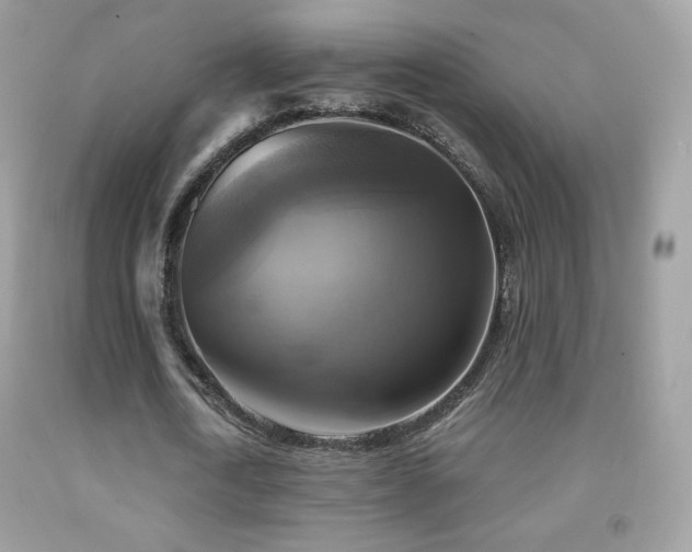 X0000091850722200709051146