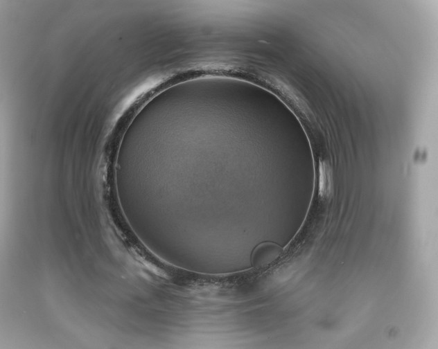 X0000091850723200709051146