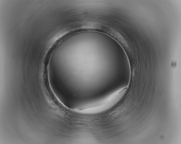 X0000091850724200709051146