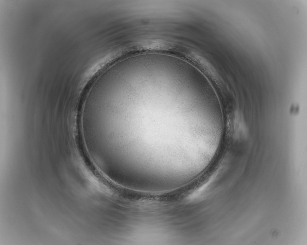 X0000091850725200709051146