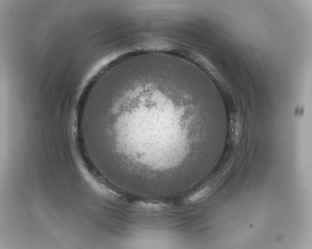 X0000091850726200709051146