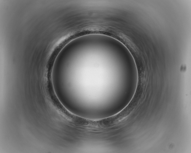 X0000091850727200709051146