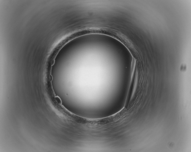 X0000091850728200709051146