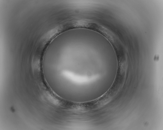 X0000091850729200709051146