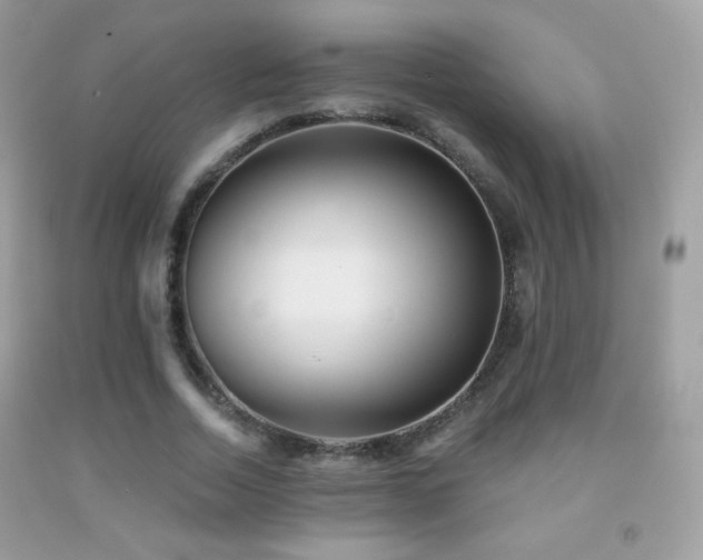 X0000091850730200709051146