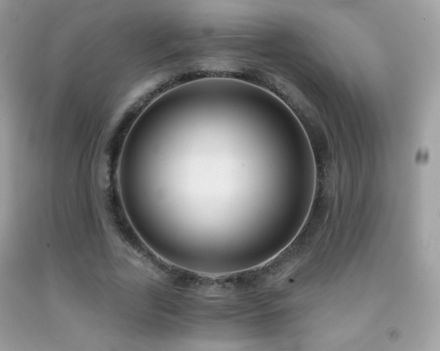 X0000091850731200709051146