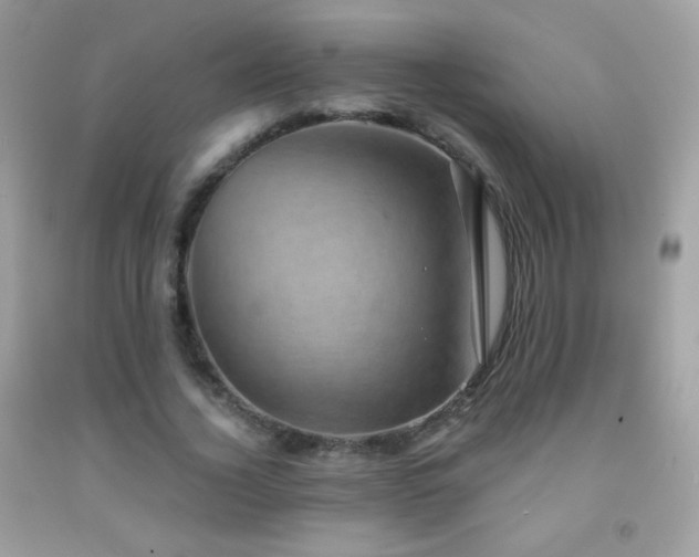 X0000091850732200709051146