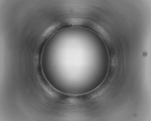 X0000091850733200709051146